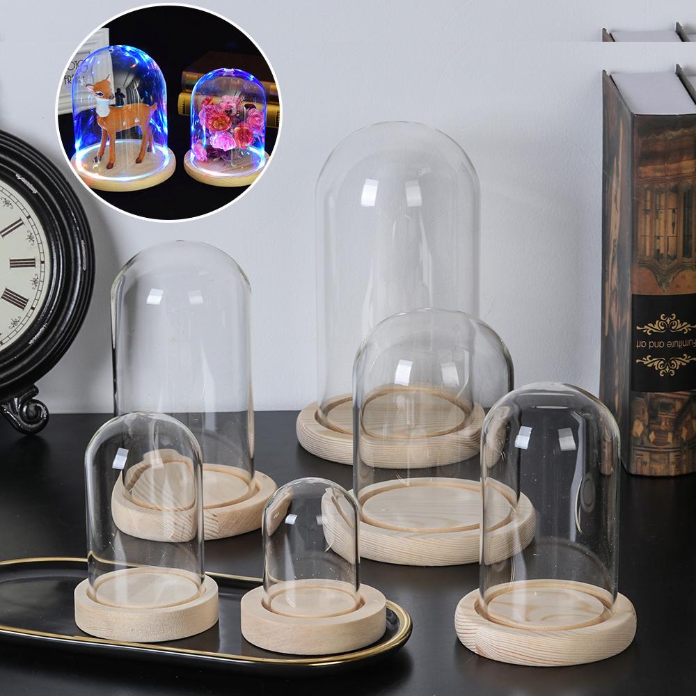 Reusable Bottle - Feenlichtjes Planten Transparante Fles Pot Terrarium