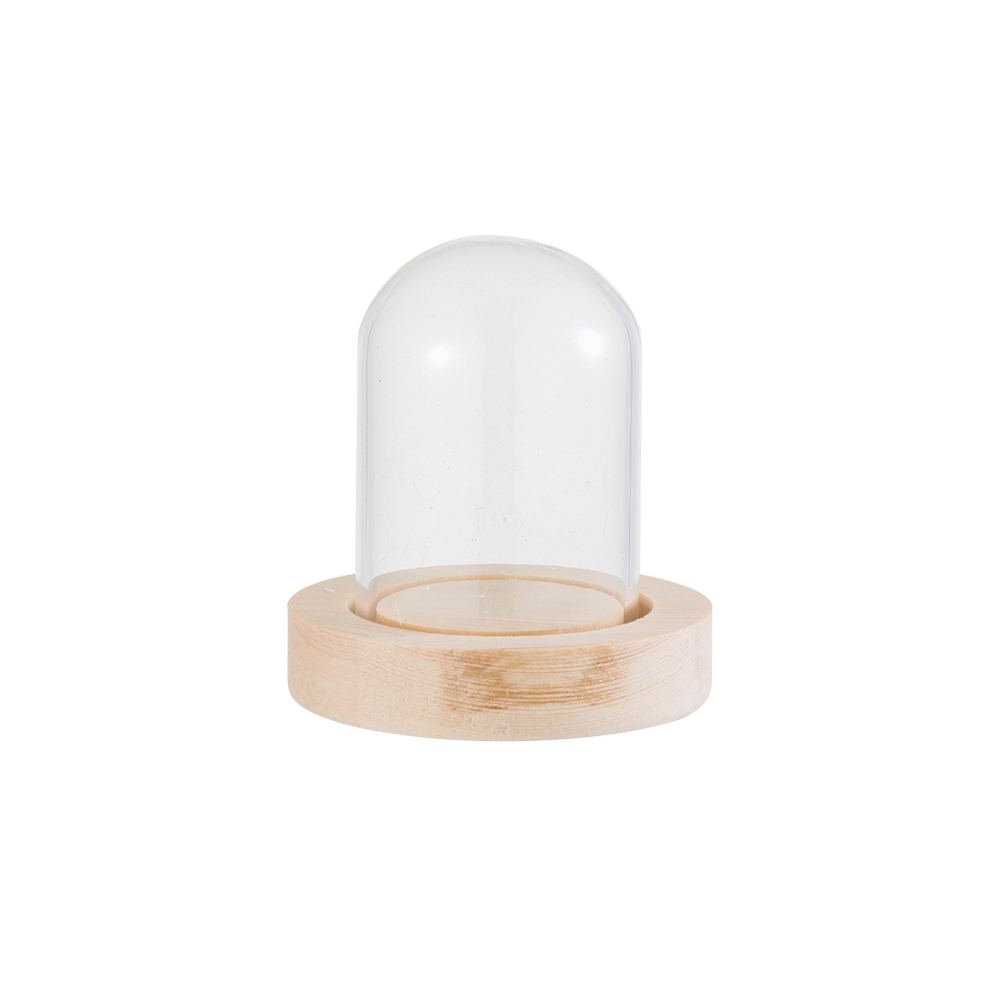 Reusable Bottle - Feestverlichting Home Decor Terrarium Transparante fles