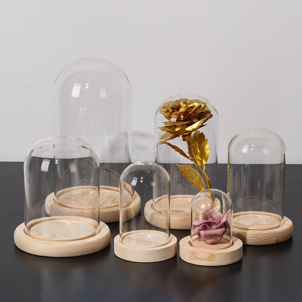 Feenlichtjes Planten Transpara - Reusable Bottle recensie en prijs