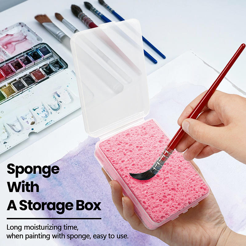 Verpakte aquarelverf schilders - Eco Sponge recensie en prijs