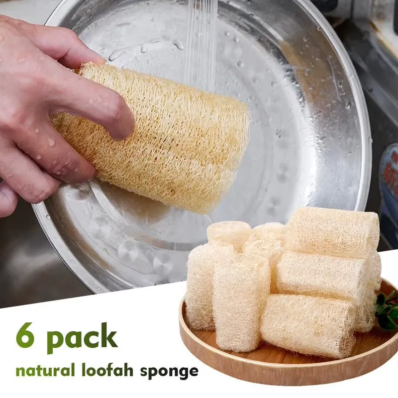 2026 Nieuwste Natuurlijke Loof - Eco Sponge recensie en prijs