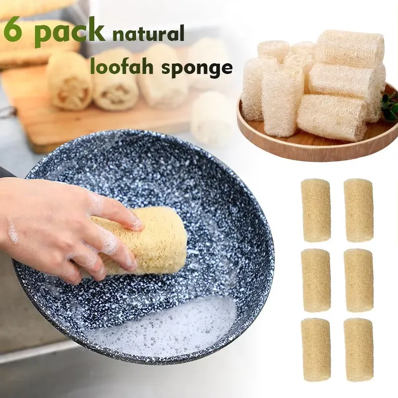 2026 Nieuwste Natuurlijke Loof - Eco Sponge recensie en prijs